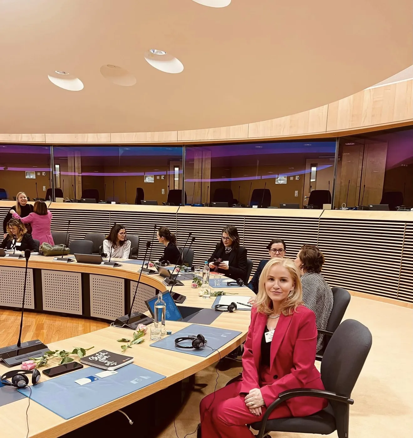 Diane Nevin at European Commission, Brussels, Belgium, photograph 3